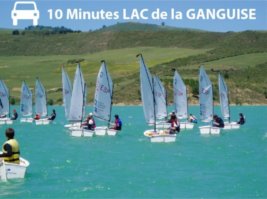 Апартаменты Pierre Lauragaise Avignonet-de-Lauragais Экстерьер фото